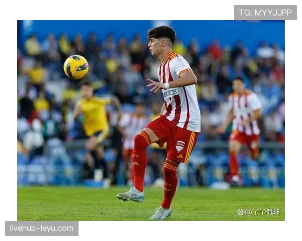 奥地利热身赛前状态火热，新赛季表现备受期待